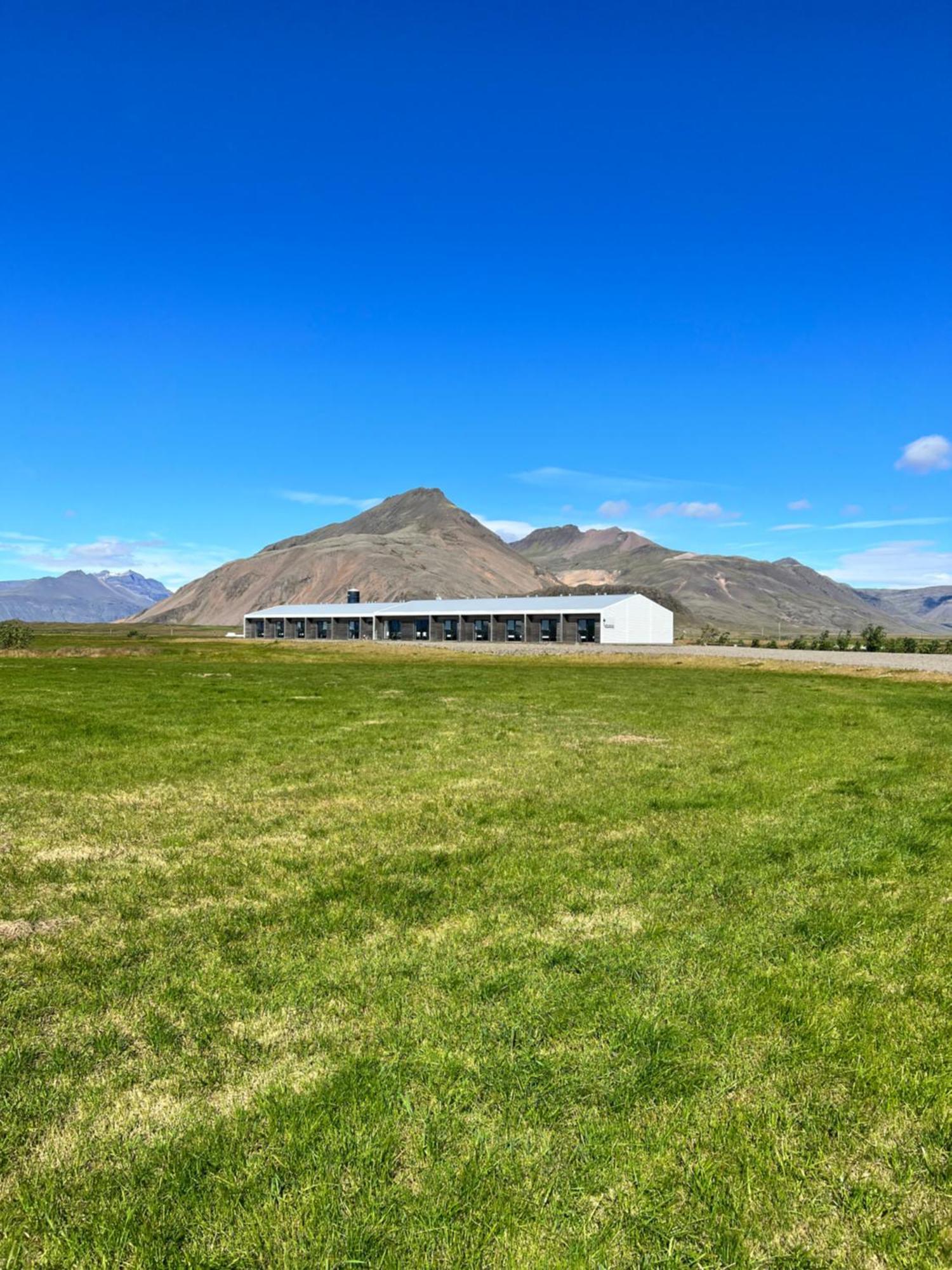Seljavellir Guesthouse Höfn Exteriér fotografie